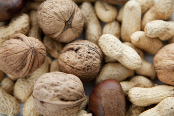 noix en vrac