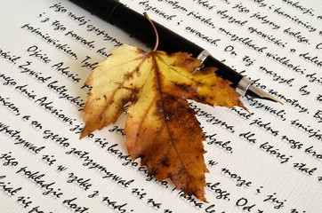 Jesienny pisarz © Pio Si