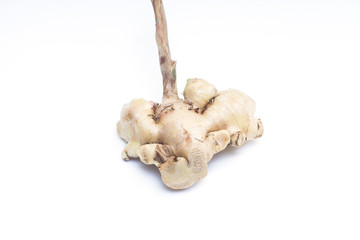 Galangal ginger piece isolated on a white background.