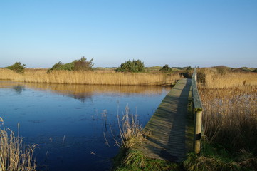 Obraz premium Holzbrücke in Dänemarks Jütland