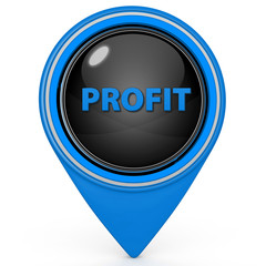 Profit pointer icon on white background
