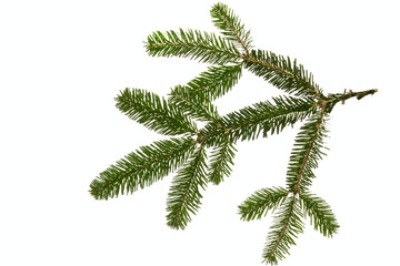 Merry Christmas and Happy New Year