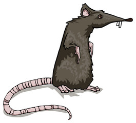 Scary, black rat character