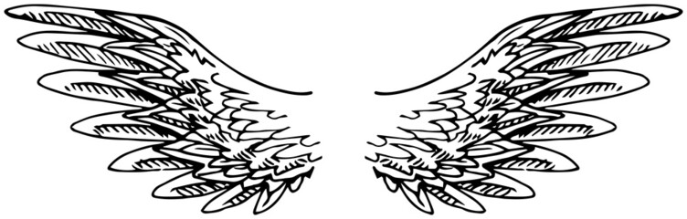 Hand drawn wings