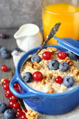 Healthy Tasty Homemade Oatmeal with Berries for Breakfast