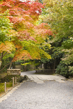 Autumn park