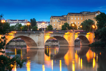 Fototapeta premium ancient bridge over Ebro in evening. Logrono