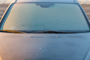 Frosty car