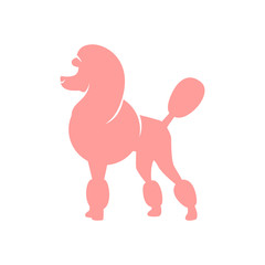 Pink poodle