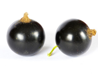 black currant