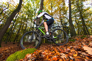 Fototapeta na wymiar Mountain biker in forest.