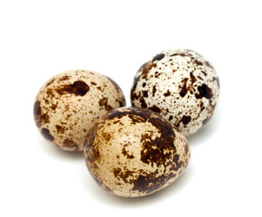 Obraz premium quail eggs isolated on white background