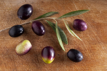 olive branch on the wooden table