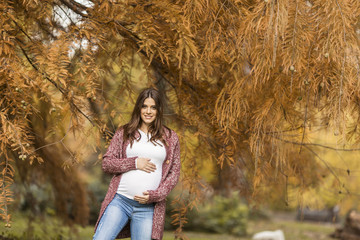 Young pregnant woman in the autumn park