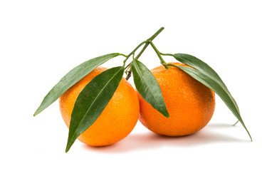 tangerines