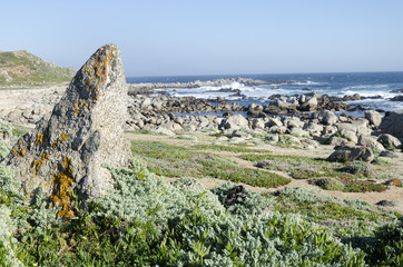 punta de tralca