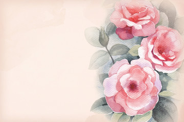 Watercolor illustration of wild rose flower