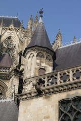 Obraz premium Cathédrale d'Amiens