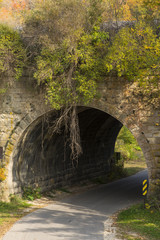 Fototapeta na wymiar Stone Arch Bridge In Autumn