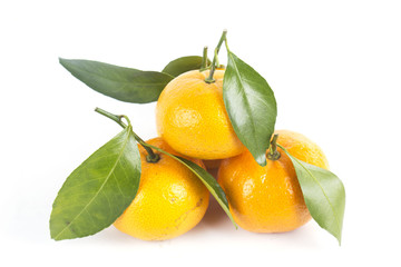 Orange fruit