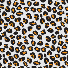 Closeup Leopard skin pattern