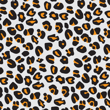 Closeup Leopard skin pattern