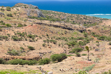campagne rodriguaise
