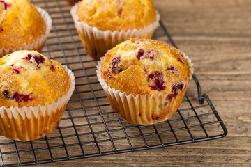 Cranberry muffins. Selective focus.