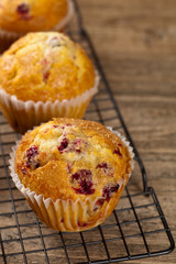 Freshly baked Cranberry muffins. Selective focus.