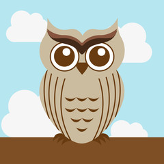 owl design