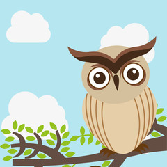 owl design