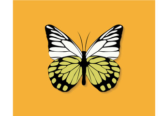 vector of Butterfly