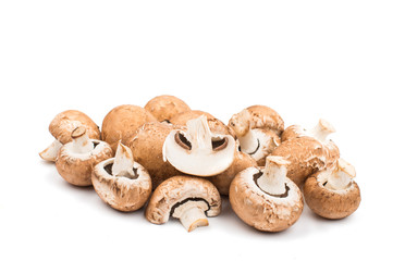 mushroom
