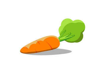 carrot