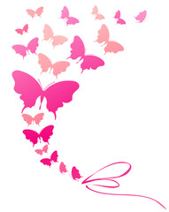 butterflies design