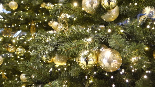Christmas trees with gold decoration