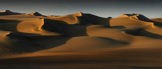 Fototapeta na wymiar desert at sunset