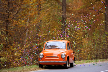Fototapeta premium the ancient car in the autumn wedding day