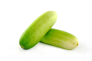 Cucumber