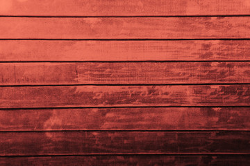 Fototapeta premium Wall Wood Backgrounds & Textures