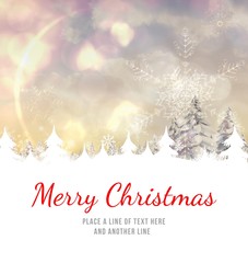 Merry Christmas message