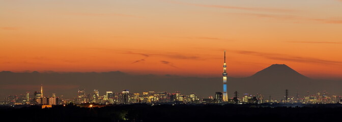 Obraz premium Tokyo city view,Tokyo sky tree , Tokyo Tower and Fuji mountain