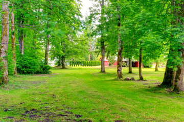 Spacious front yard landscape with lawn and trees