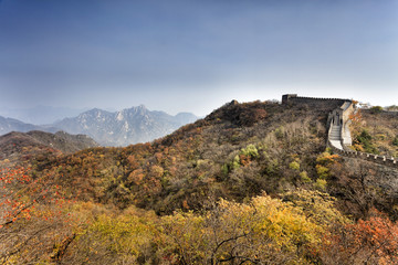 Fototapeta na wymiar CN Great Wall Autumn Trees