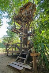 Beautiful tree house in Chiang Mai province, Thailand