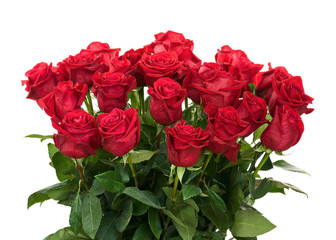 Colorful Flower Bouquet from Red Roses Isolated on White Backgro