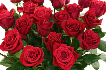 Colorful Flower Bouquet from Red Roses Isolated on White Backgro