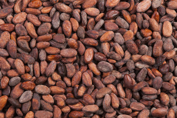 cocoa beans background