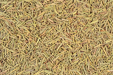 Dried rosemary background