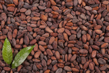 cocoa beans background with leaf